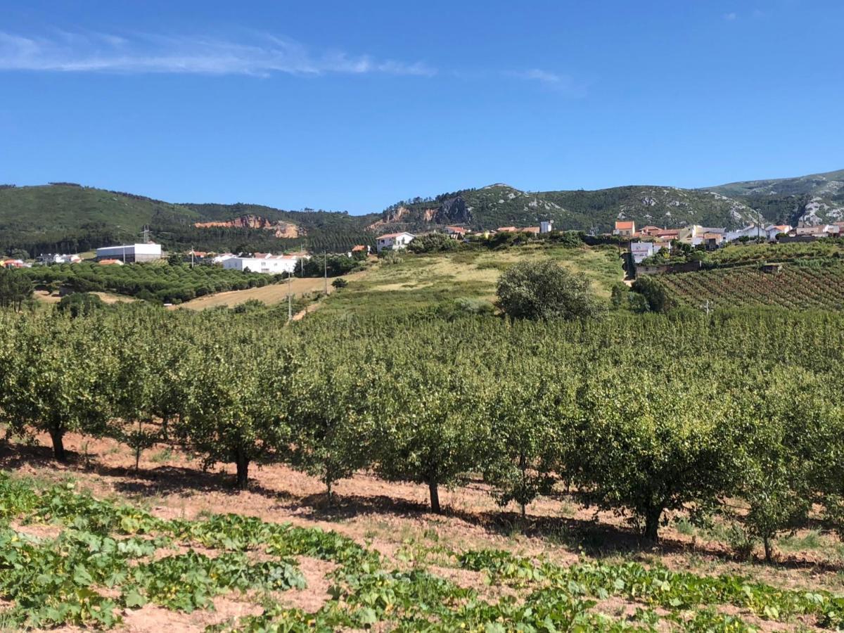Terra Luso Proche De Montejunto Bed and Breakfast Cadaval Εξωτερικό φωτογραφία